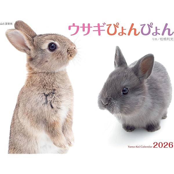 カレンダー2025 ウサギぴょんぴょん（月めくり/壁掛け） (ヤマケイ